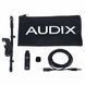 Мікрофон Audix MICRO-D