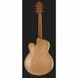 Електрогітара Ibanez PM200-NT Pat Metheny