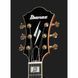 Електрогітара Ibanez PM200-NT Pat Metheny