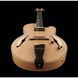 Електрогітара Ibanez PM200-NT Pat Metheny