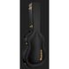 Електрогітара Ibanez PM200-NT Pat Metheny