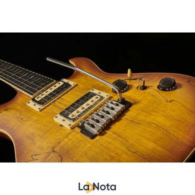 Електрогитара Schecter C-1 Exotic Spalted Maple SNVB