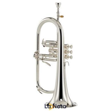 Флюгельгорн Yamaha YFH-8310ZGS