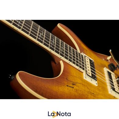 Електрогитара Schecter C-1 Exotic Spalted Maple SNVB