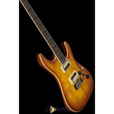 Електрогітара Schecter C-1 Exotic Spalted Maple SNVB