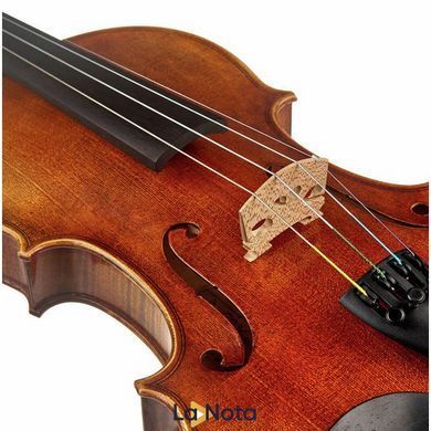 Акустическая скрипка Scala Vilagio Scuola Italiana Guarneri G1