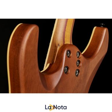 Електрогитара Schecter C-1 Exotic Spalted Maple SNVB