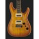 Електрогітара Schecter C-1 Exotic Spalted Maple SNVB