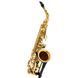 Саксофон Selmer Axos Alto Sax