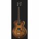 Електрогітара Ibanez AF55-TF
