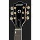 Акустична гітара Gretsch G5034TFT Rancher Bigsby