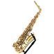 Саксофон Thomann ASBGG Custom Line Alto Sax