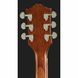 Акустична гітара Gretsch G5034TFT Rancher Bigsby