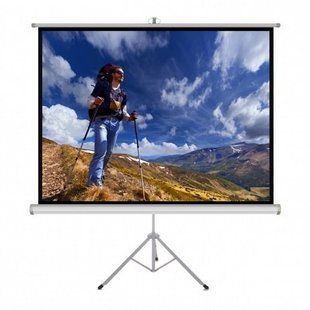 Проекційний екран ART Matt White TS-120 244x183