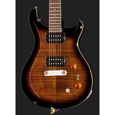 Електрогітара PRS SE Pauls Guitar BG