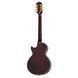 Електрогітара Epiphone Jerry Cantrell Wino LP Custom