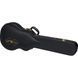 Електрогітара Epiphone Les Paul Custom Ebony IBC