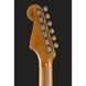 Електрогітара Fender Roasted '61 Strat ABLK/3TSB