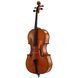 Акустична віолончель Eastman Albert Nebel Cello VC601G+ 4/4
