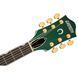 Gretsch Pro Nashville Bigsby CAD GRN