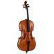 Акустична віолончель Eastman Albert Nebel Cello VC601G+ 4/4