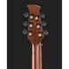 Акустична гітара Applause AAD96-M Mahogany