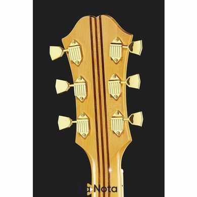 Акустична гітара Epiphone Masterbilt Excellente