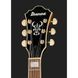Електрогітара Ibanez AG75G-BS