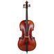 Акустическая виолончель Eastman R. Doetsch Cello VC7015G+ 4/4