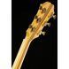 Акустична гітара Epiphone Masterbilt Excellente