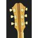 Акустична гітара Epiphone Masterbilt Excellente