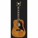 Акустична гітара Epiphone Masterbilt Excellente