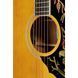 Акустична гітара Epiphone Masterbilt Excellente