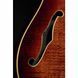 Електрогитара Harley Benton CST-24HB Tortoise Flame