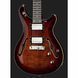 Електрогитара Harley Benton CST-24HB Tortoise Flame