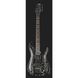 Електрогитара Schecter C-1 FR S Silver Mountain