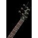 Електрогитара Harley Benton CST-24HB Tortoise Flame