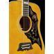 Акустична гітара Epiphone Masterbilt Excellente