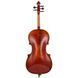 Акустическая виолончель Eastman R. Doetsch Cello VC7015G+ 4/4