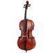 Акустическая виолончель Eastman R. Doetsch Cello VC7015G+ 4/4