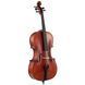 Акустическая виолончель Eastman R. Doetsch Cello VC7015G+ 4/4