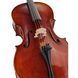 Акустическая виолончель Eastman R. Doetsch Cello VC7015G+ 4/4