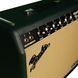 Комбопідсилювач Fender Tone Master Princeton Rev BRG