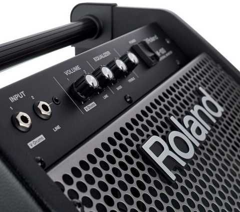 Комбопідсилювач Roland PM100 купити в інтернет-магазині LaNota