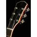 Електрогітара Larry Carlton L7 GT