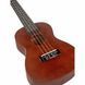 Укулеле Harley Benton Ukulele Pack Concert