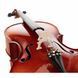 Акустична віолончель Roth & Junius Europe 4/4 Student Cello Set