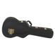 Кейс для акустичної гітари Epiphone Resonator/Dobro Case RN