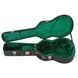 Кейс для акустичної гітари Epiphone Resonator/Dobro Case RN