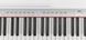 Цифровое пианино Hemingway DP-501 MKII White